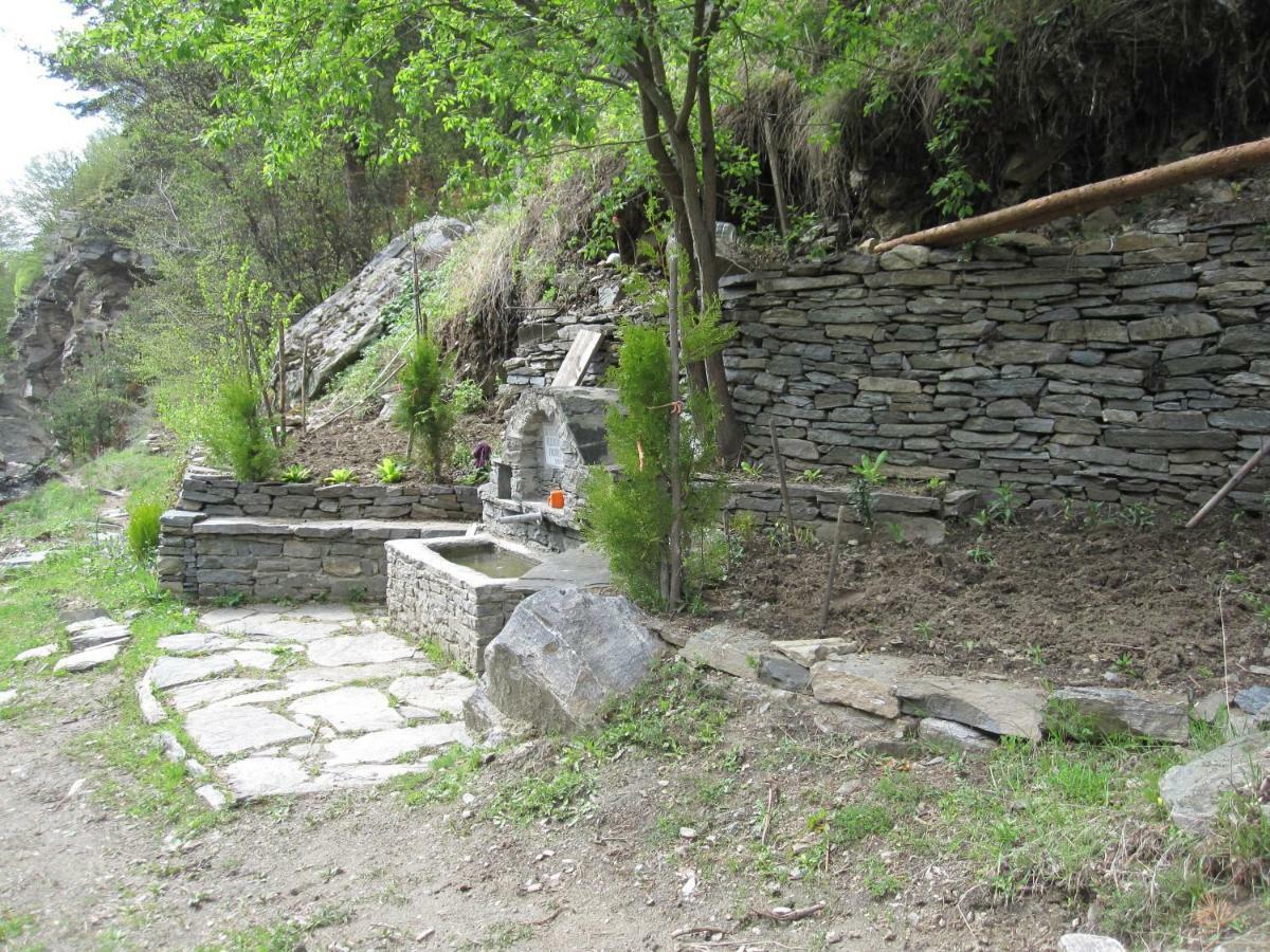 Hotel Deyanira Gorno Dryanovo 外观 照片